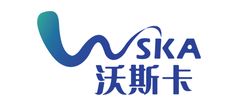 SHENZHEN WSKA ELECTRONICS CO.LTD