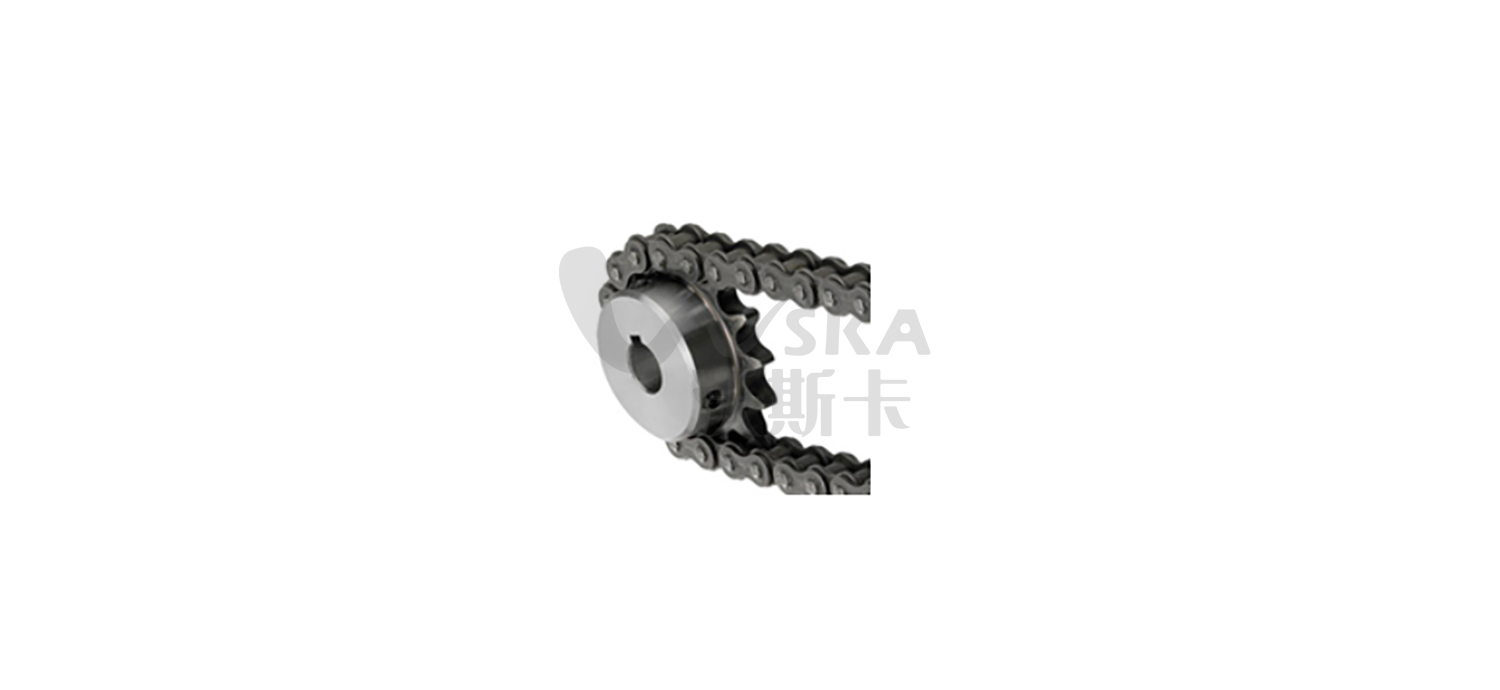 Chains & Sprockets